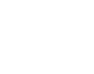 AnyDesk